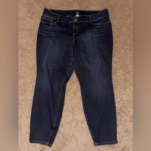 Torrid Denim Jeans